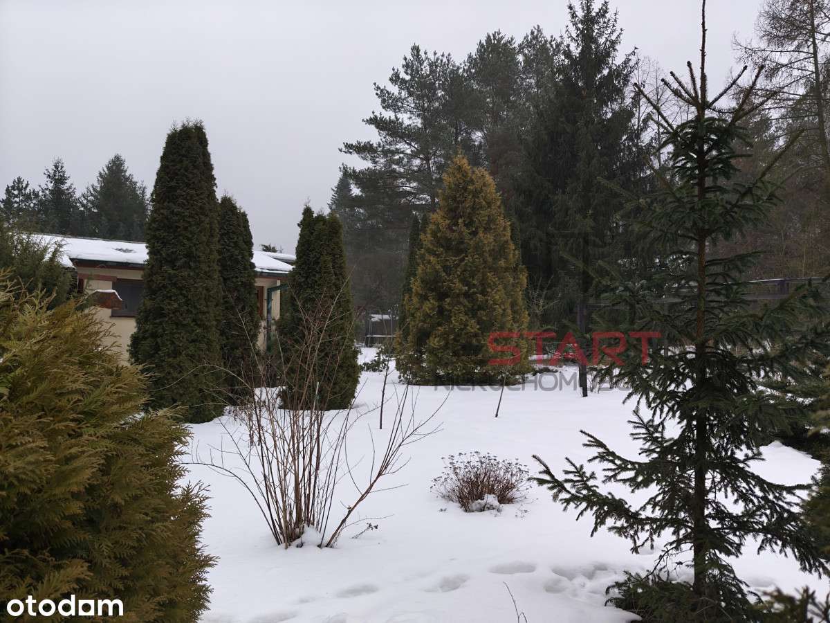 Domek letniskowy na zagospodarowanej działce-7