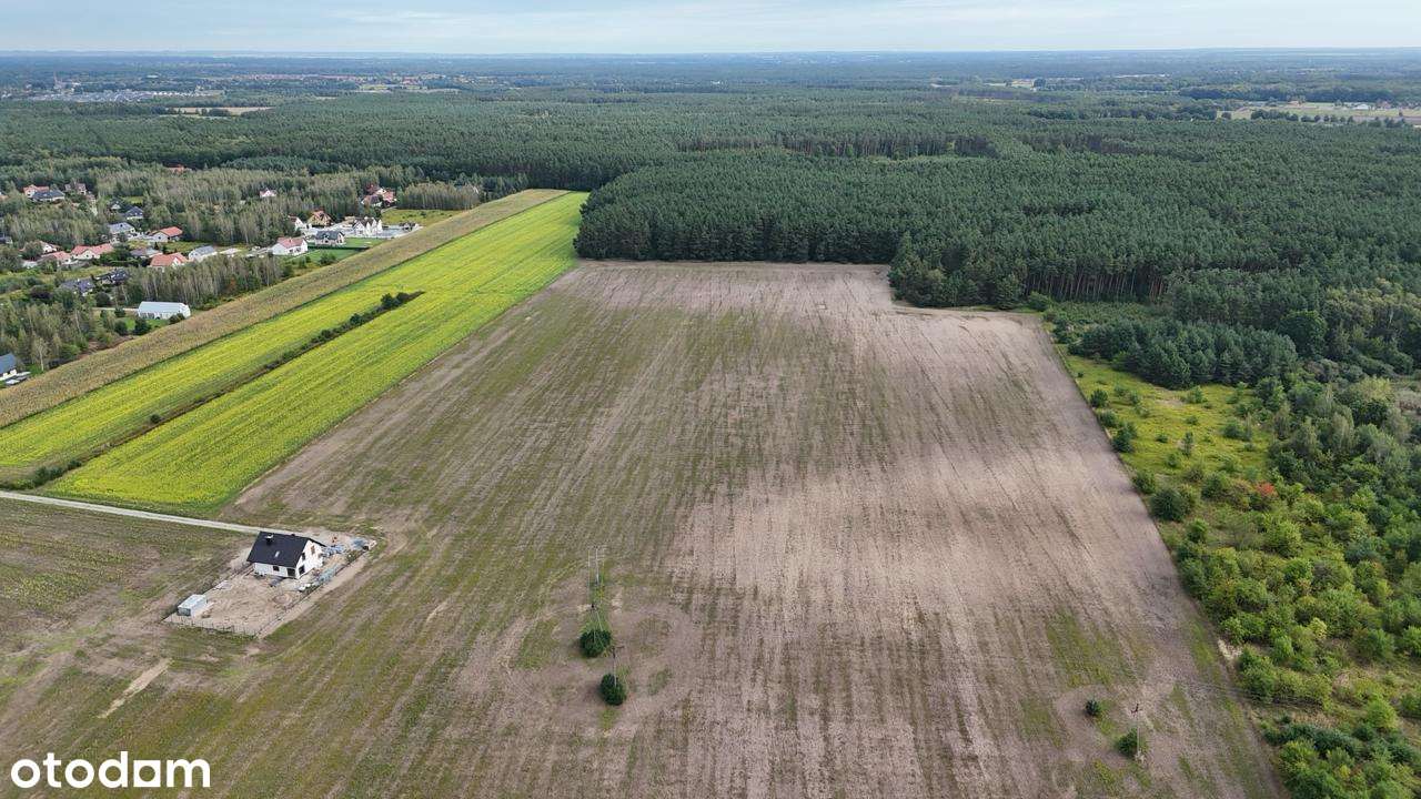 Działki budowlane Miłoszyce | 800–1600m² | Media | świetna lokalizacja - Pełny obrazek: 4/9