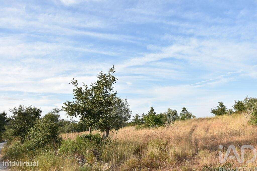 Terreno em Chãos de 8160,00 m2 - Grande imagem: 5/30
