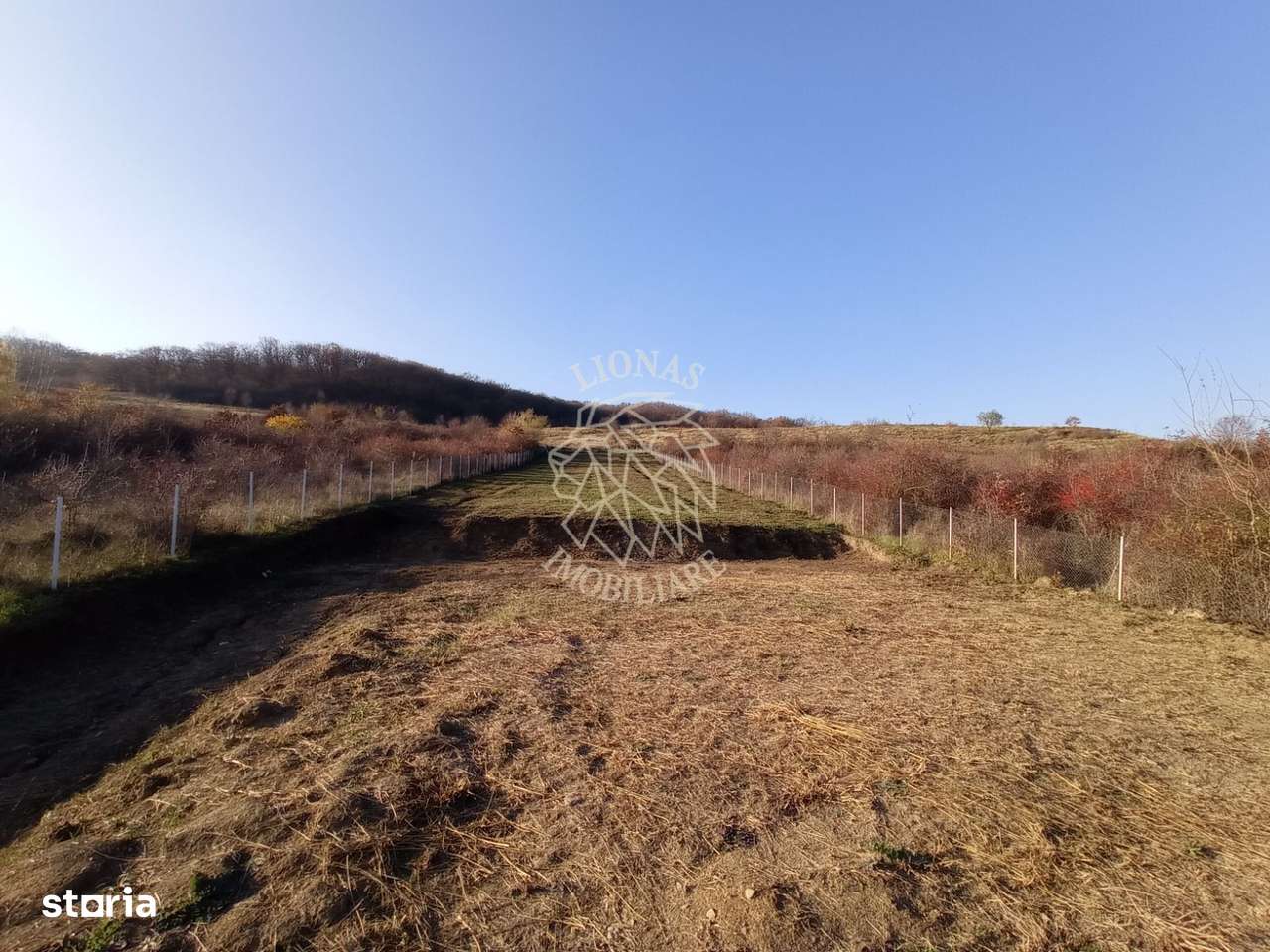 Teren intravilan 2700 mp-ideal case/investitie-Viisoara - Imagine principală: 1/6