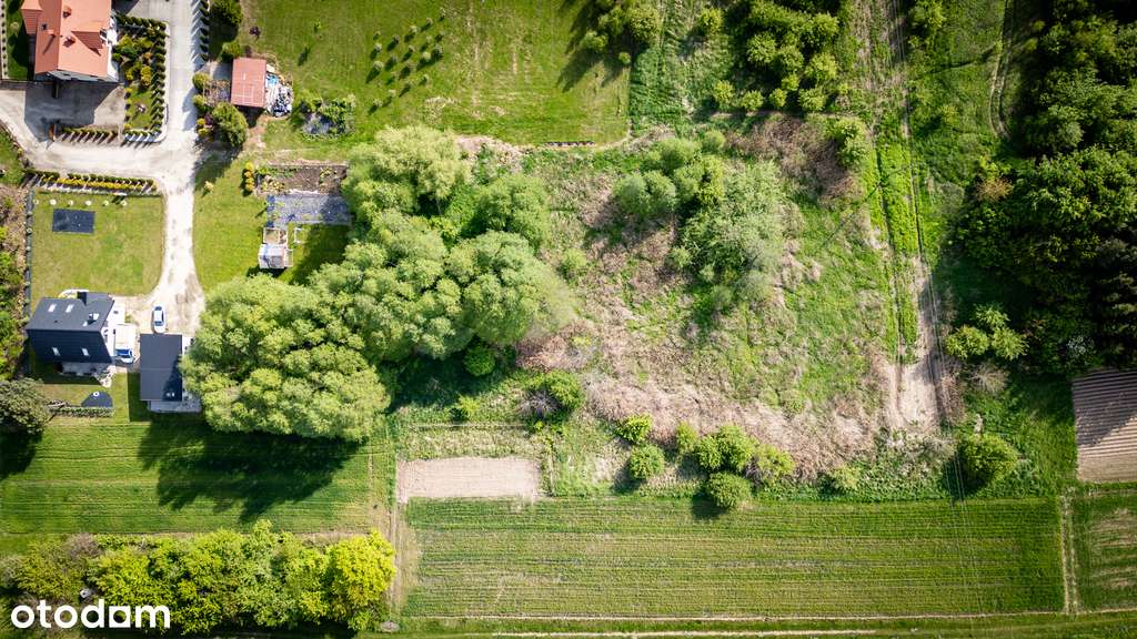 Działka 42 ary – idealna pod Krus – Zgłobień - Pełny obrazek: 4/9