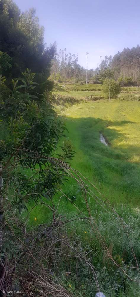 Terreno rústico para cultura em Canedo - Grande imagem: 3/8