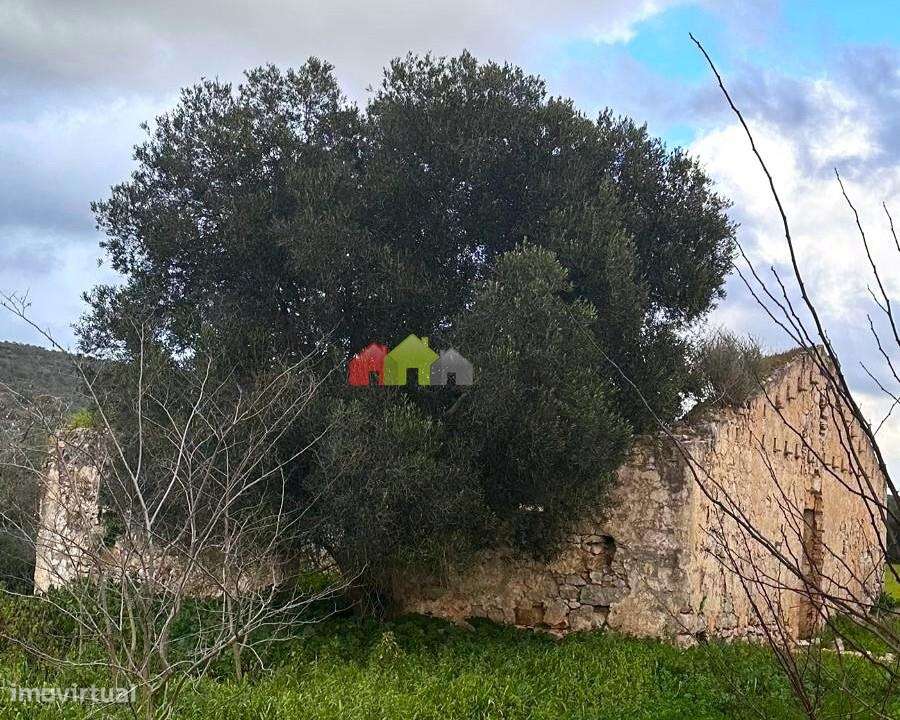 Quinta em Loulé com 9.5 ha com 850 m2 construção-20
