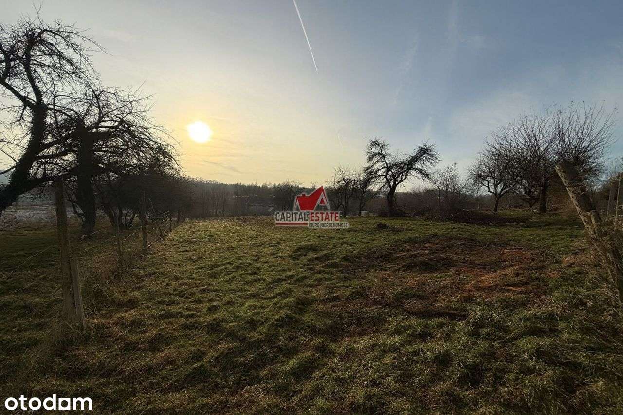 Działka budowlana 0.3 h Czaple! - Pełny obrazek: 4/8