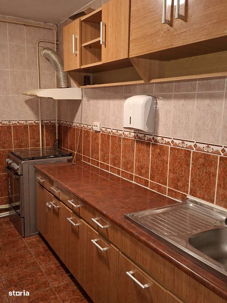 Apartament Craiovița-10