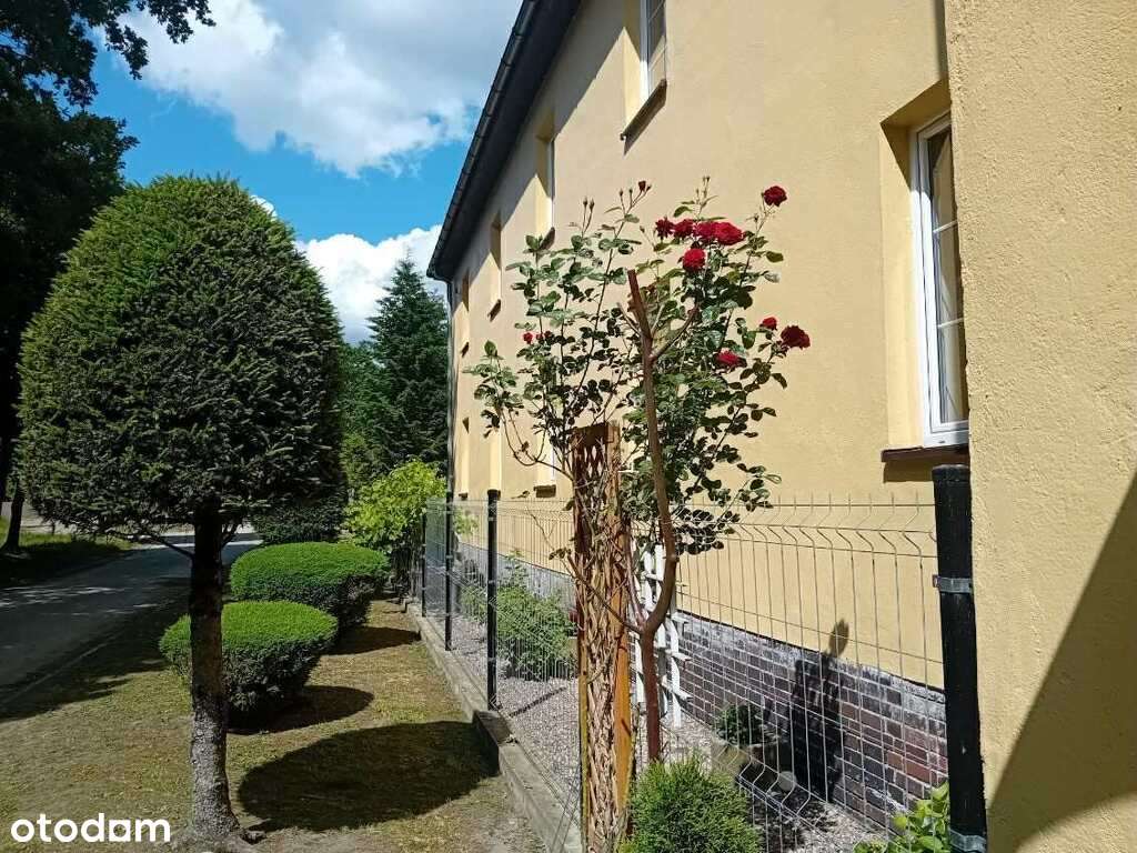 Duży budynek na sprzedaż. Idealny pod inwestycje. - Pełny obrazek: 4/18