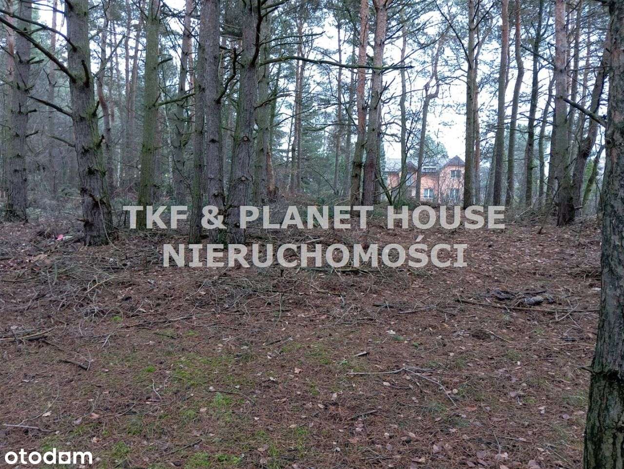 Działka 800m2 w Treście - Pełny obrazek: 3/4