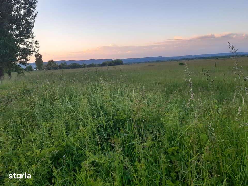 Teren intravilan, 1000 mp, cu utilitati, Valea Avrigului - Imagine principală: 2/3