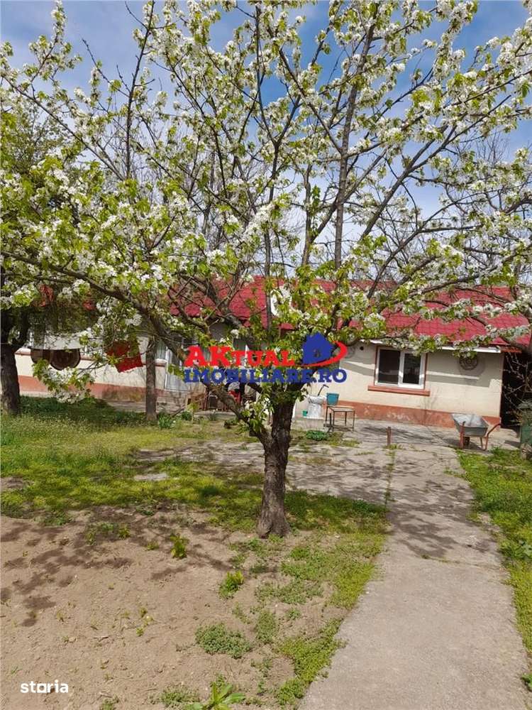 Vanzare Casa cu Teren 1200mp in Com.Mihai Bravu-Giurgiu-0