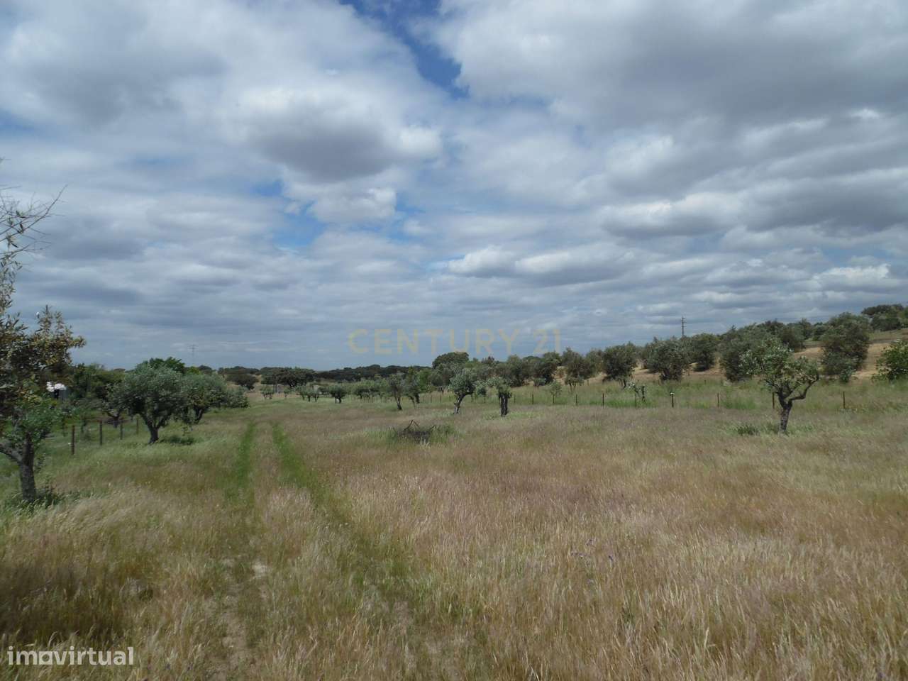 Quinta em Capelins,  Alandroal - Évora,  Oportunidade Única-27