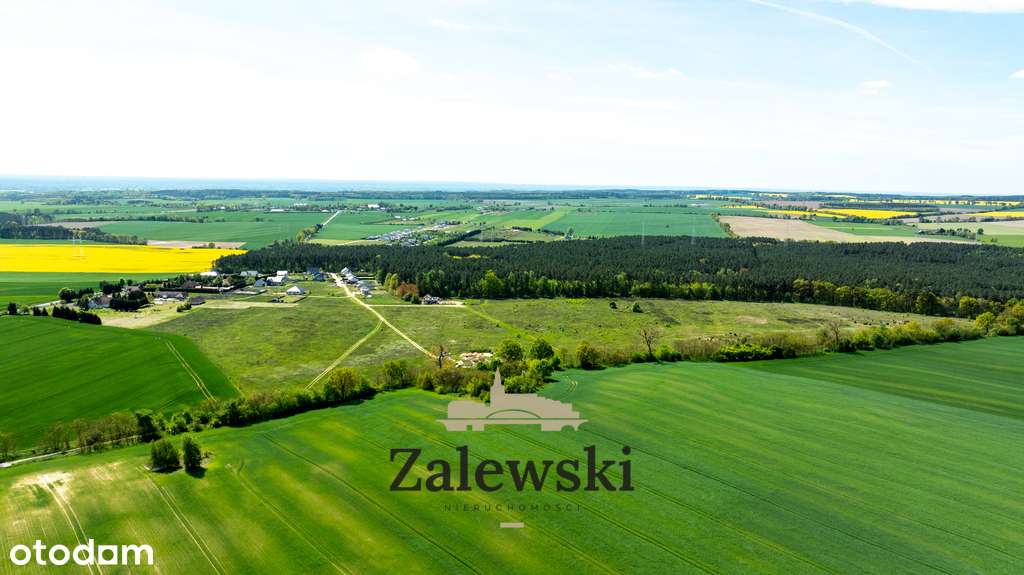 Działki na sprzedaż – Baczyna, przy lesie-8