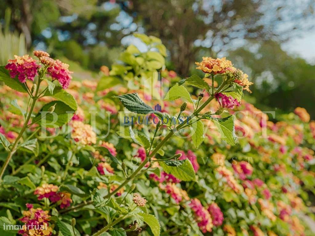 Fantástico Palacete com vista única na Costa da Caparica-50