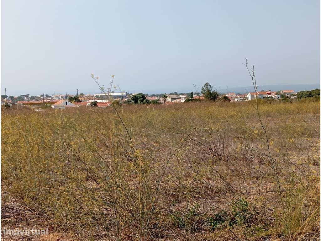 TERRENO INDUSTRIAL - Grande imagem: 1/4