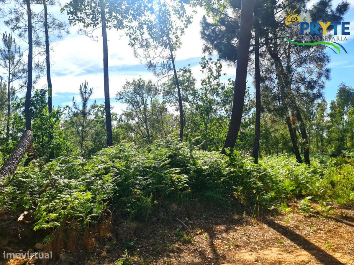 Quinta situada em Casalinho/Tapada-9
