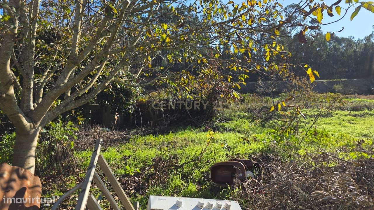 Casa Antiga em Albergaria dos Doze, Pombal-16