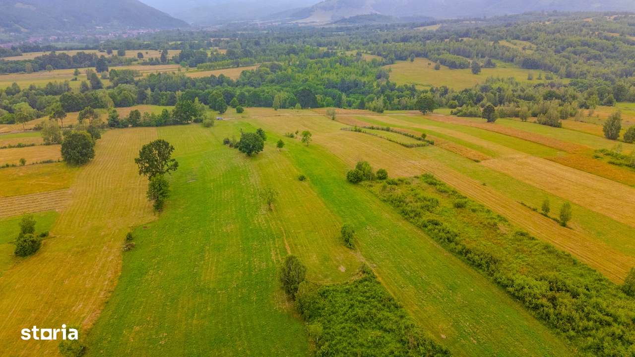 Teren extravilan agrement/cultura - Imagine principală: 3/3