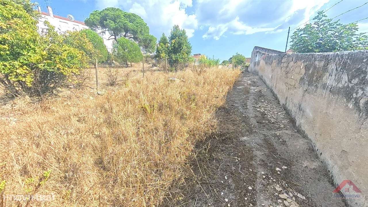 Terreno Urbano  Venda em Cartaxo e Vale da Pinta,Cartaxo-9