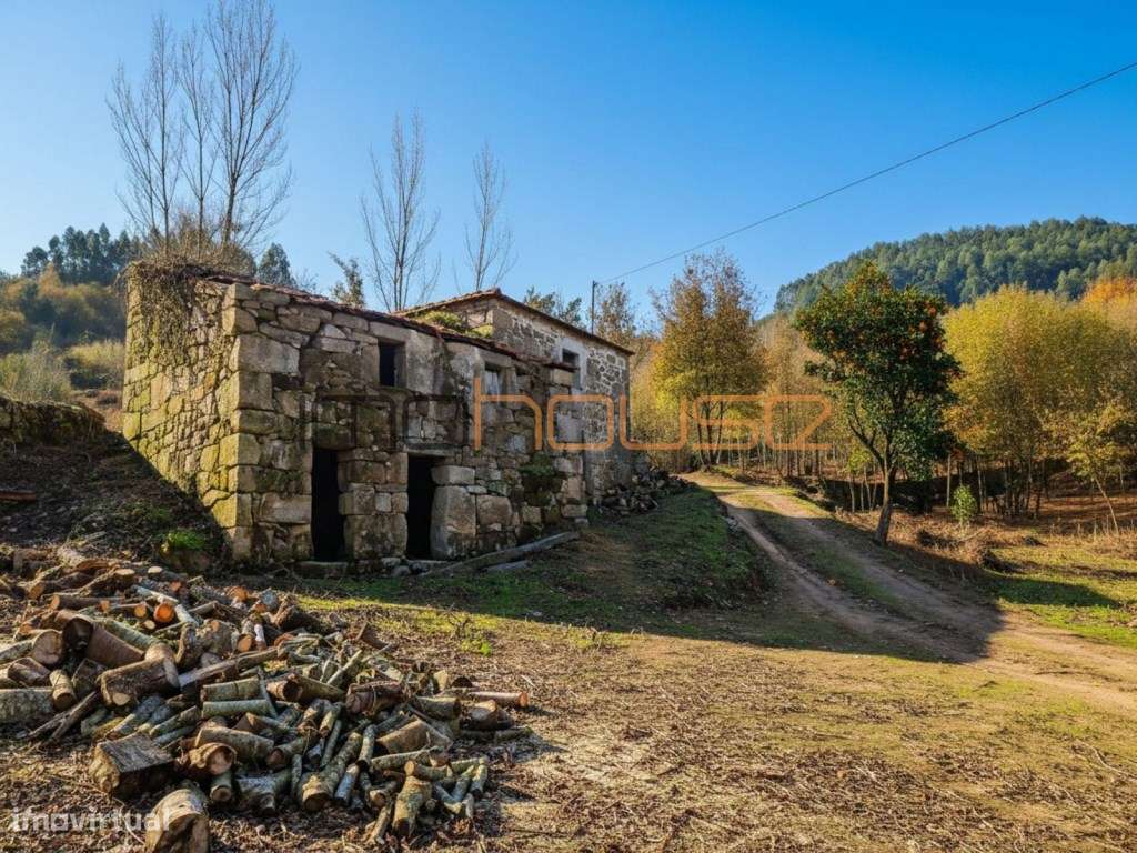 Quinta com Ribeiro e casa para restaurar - Terreno de cultivo - Grande imagem: 3/17