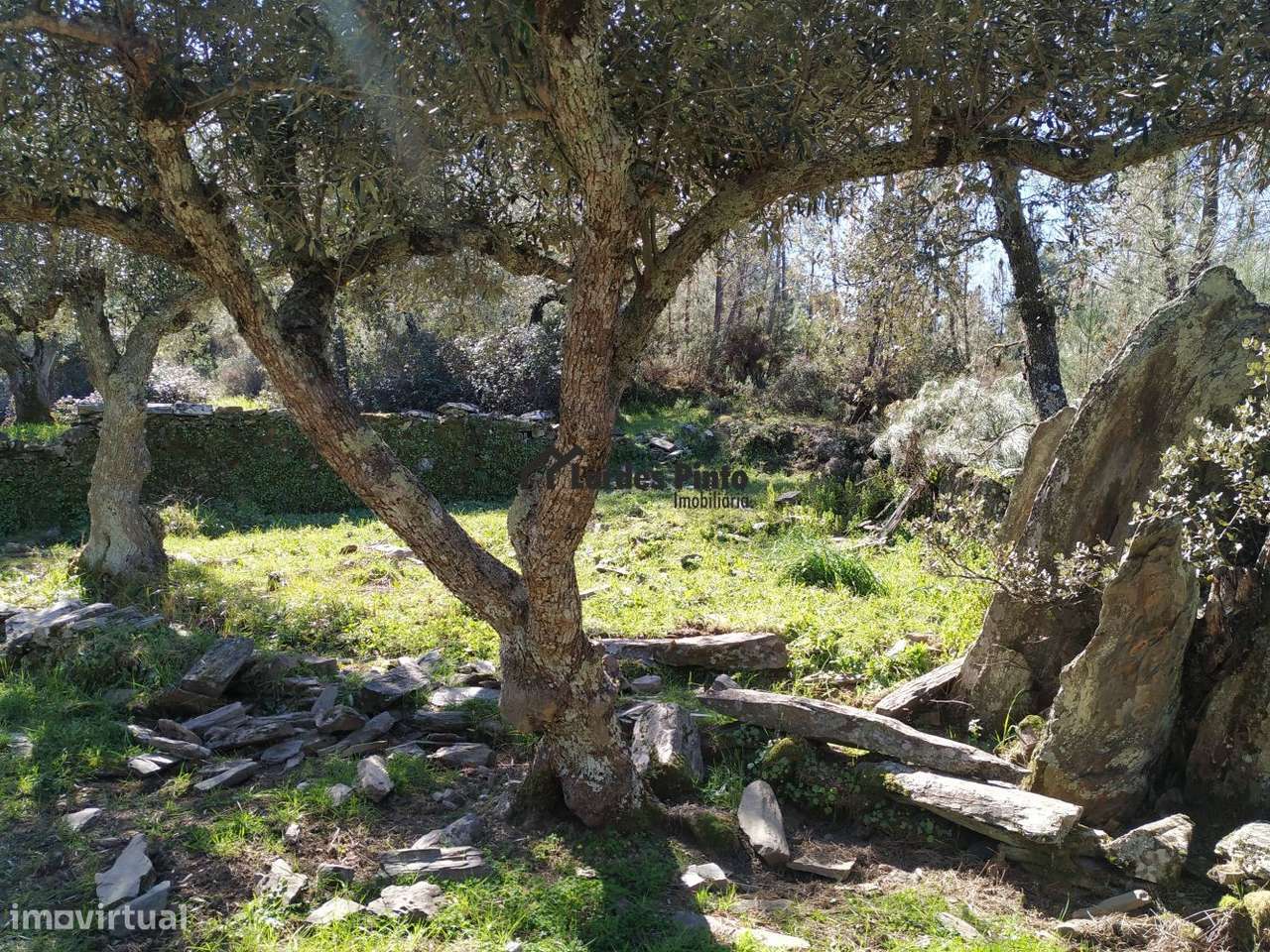 Terreno em Benquerenças-7