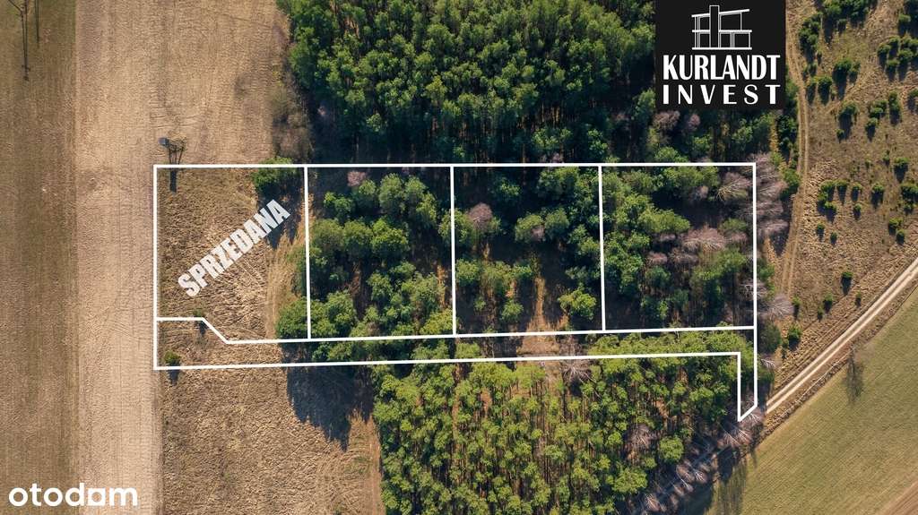 Działki w Borach Tucholskich Minikowo - Pełny obrazek: 5/6