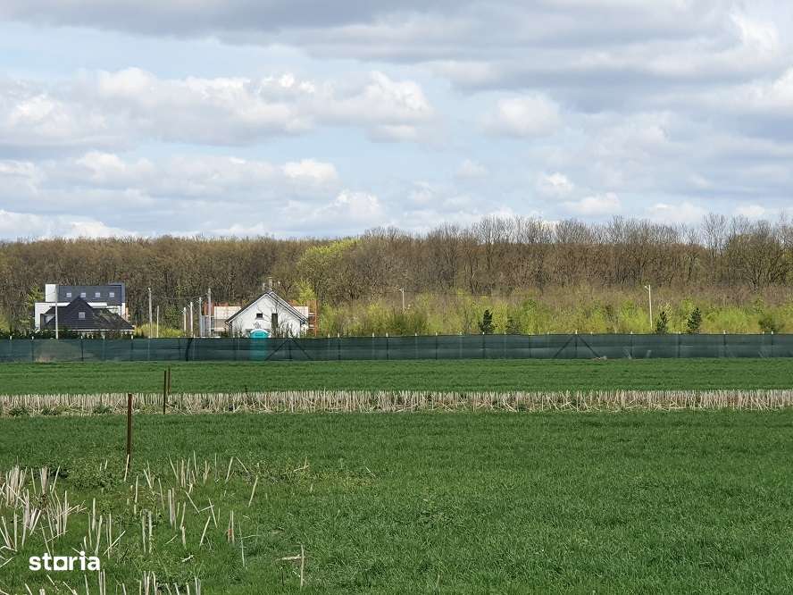 Teren langa padure si utilitati,800 mp,37000 euro - Imagine principală: 3/14