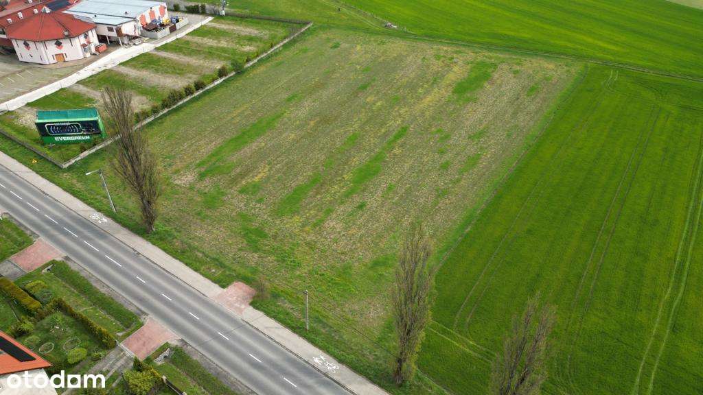 Działka na sprzedaż, 10240m², Pietna - Pełny obrazek: 5/5