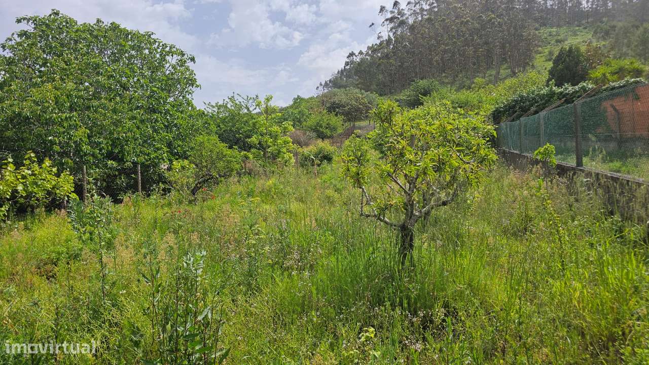 Moradia T4 em Lapaduços, Vila Verde dos Francos-30
