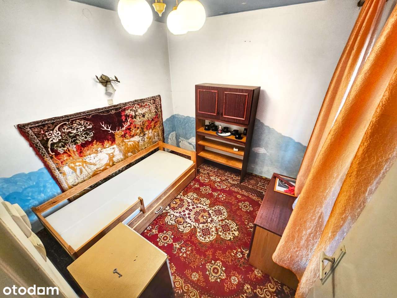 Tylko gotówka, Dąbrowa Narodowa, mały domek, z małą działką-6