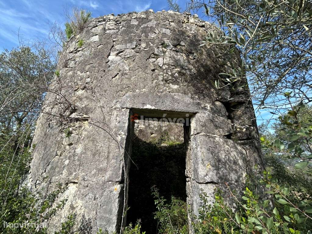 Terreno c/ PDM urbano e Moinho para recuperar - Pimenteiras, Torres... - Grande imagem: 4/31