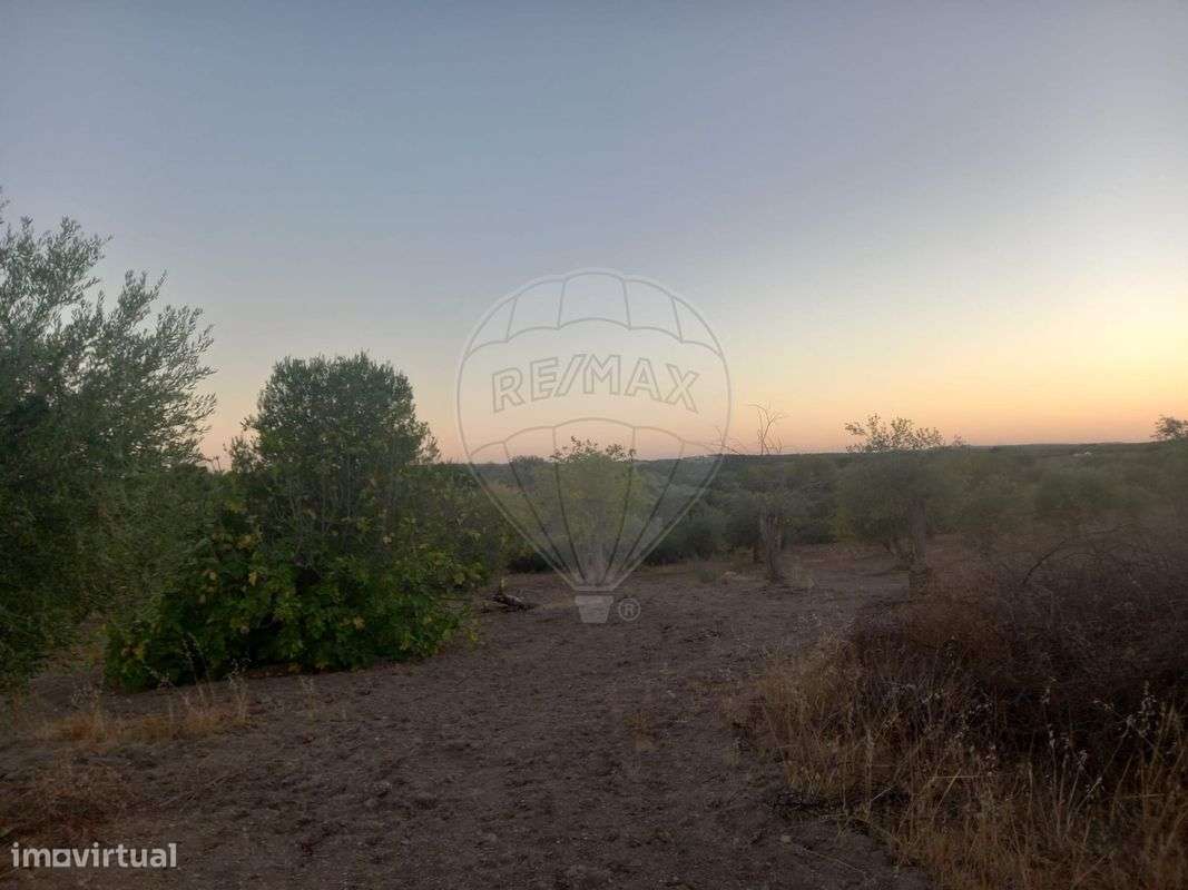 Terreno  para venda - Grande imagem: 4/13