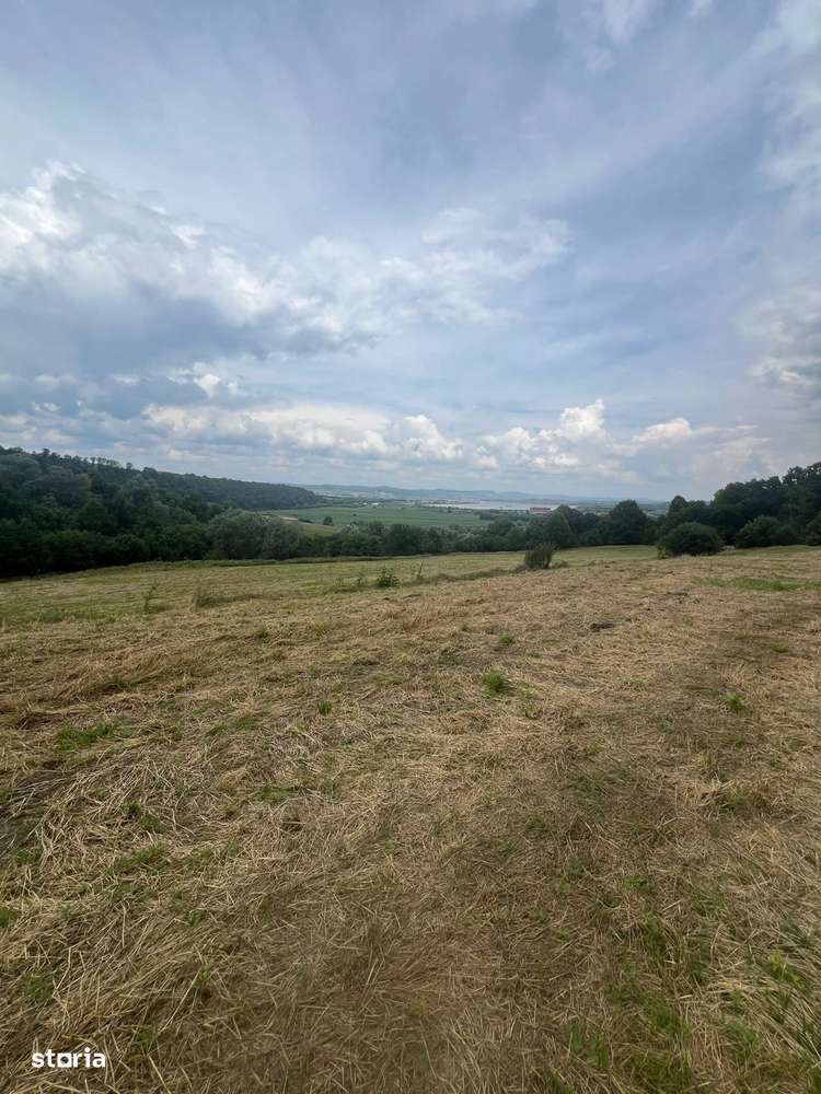 Teren între Tălmaciu și Racoviță – 25.000 mp în mijlocul naturii! - Imagine principală: 2/5