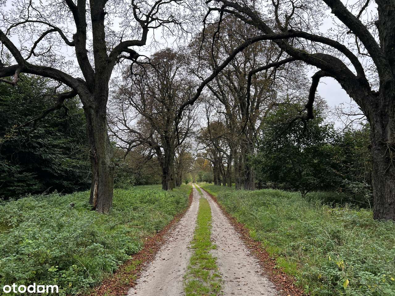 1h grunt pod zabudowę rezydencjonalną Wielkopolski Park Narodowy-13
