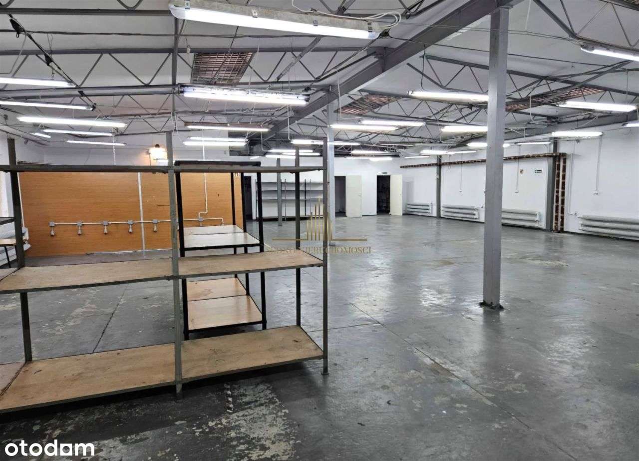 Hala produkcyjno - magazynowa, możliwy najem - Pełny obrazek: 4/5