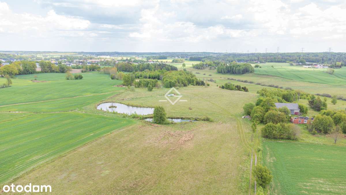 blisko natury | kaszuby | obwodnica metropolitarna - Pełny obrazek: 5/5