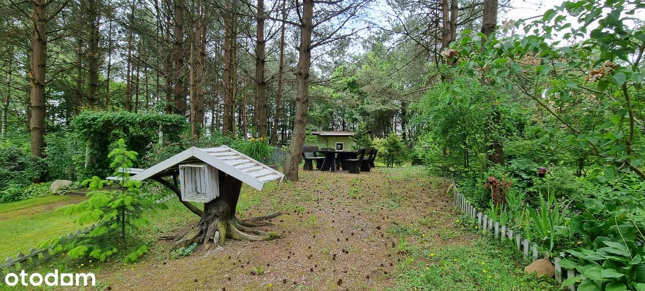 Atrakcyjny teren pod 15 bliźniaków wkomponowanych wśród drzew-13