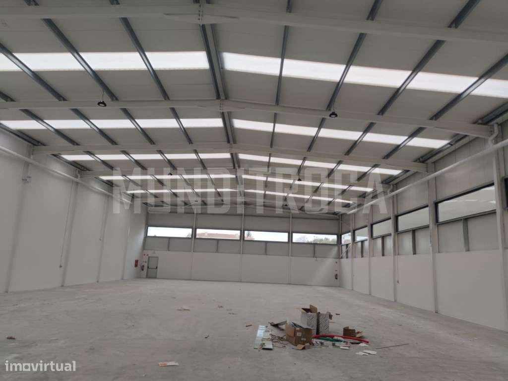 Armazém novo Manhente - Grande imagem: 3/13