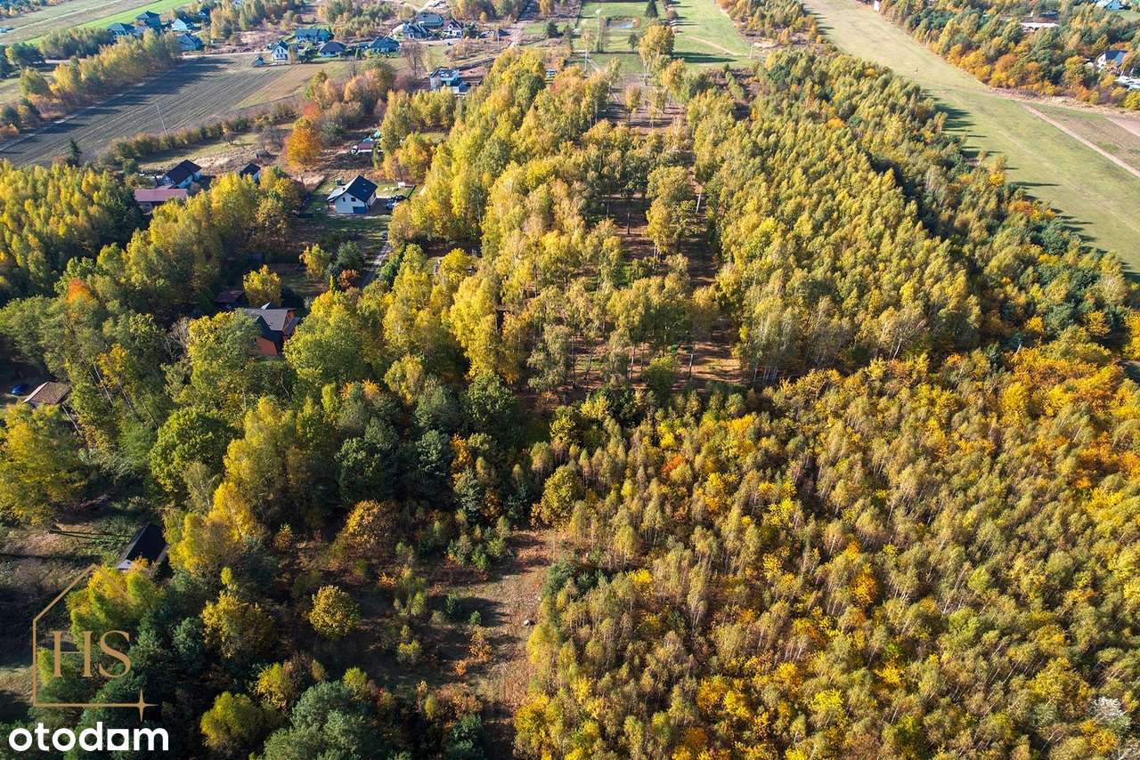 Działka budowlana w otulinie drzew/Żabia Wola/ 35 min do Warszawy-17