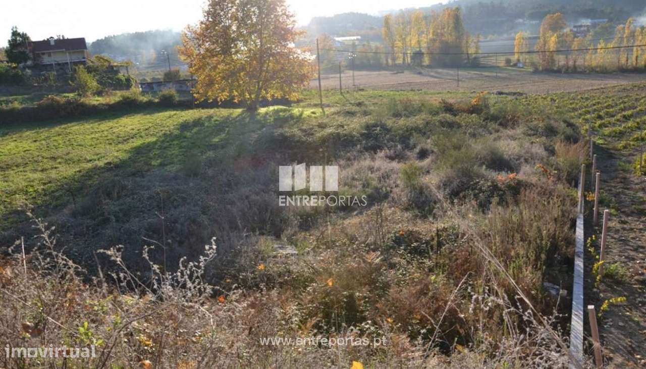 Venda Terreno, Travanca, Amarante - Grande imagem: 2/9