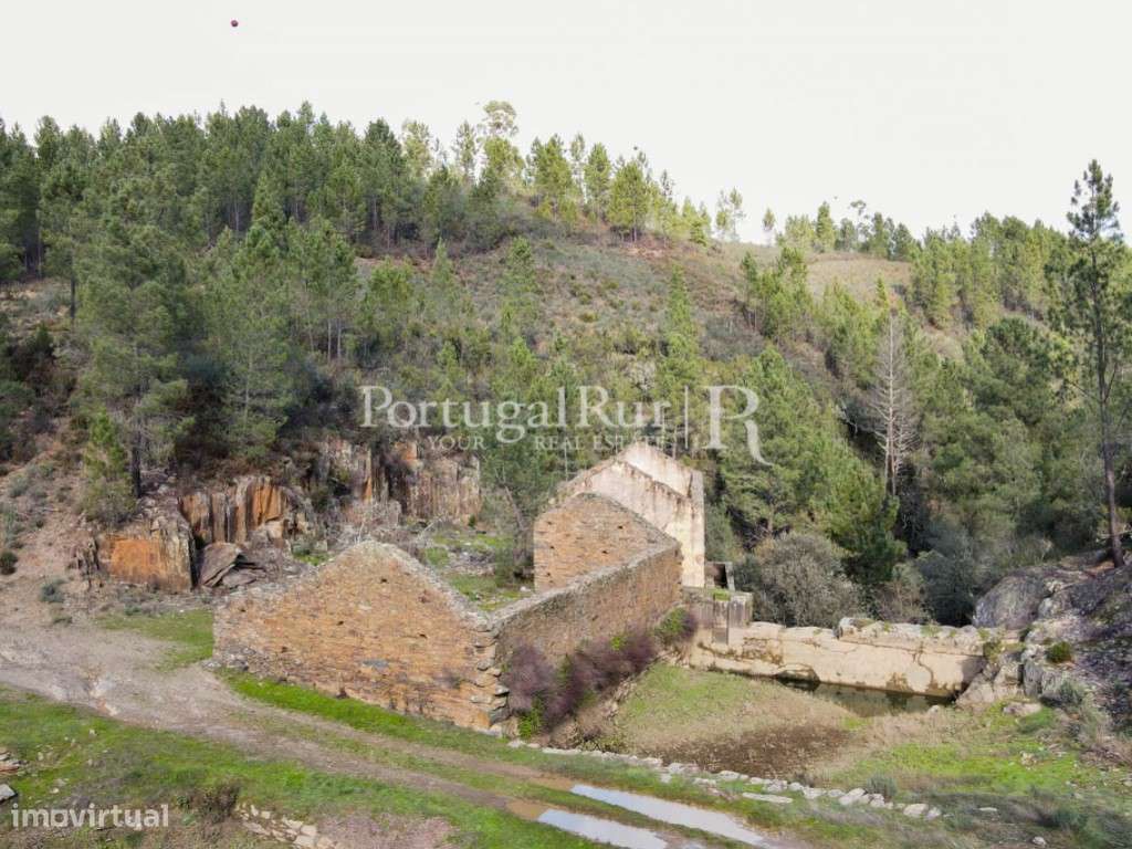 Antigo Lagar com 5,7 hectares - Grande imagem: 4/41