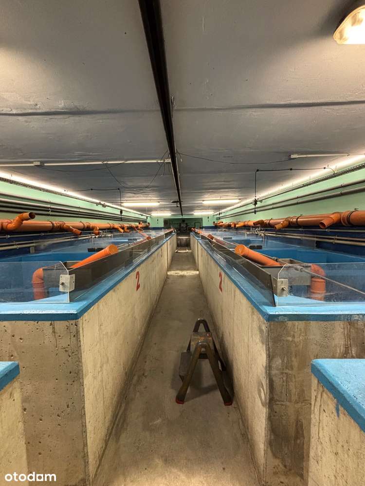 Obiekt Zakład produkcji Ryb +  Dom  mieszkalny-10