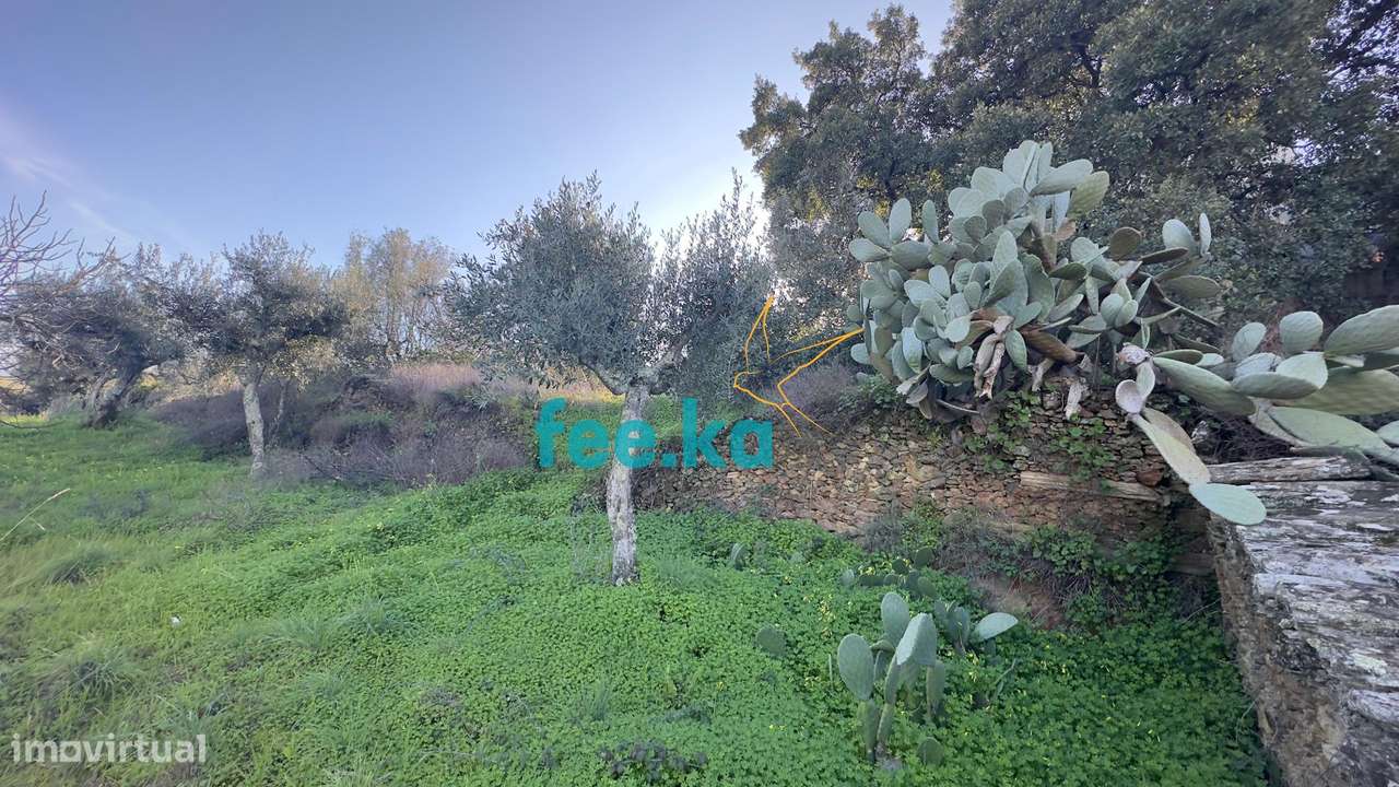 Terreno Rural em Cebolais de Cima - Grande imagem: 4/11