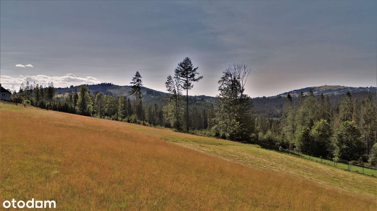 Widok z działki na góry - Barania Góra, Ochodzita, Babia Góra, Pilsko - Pełny obrazek: 5/12