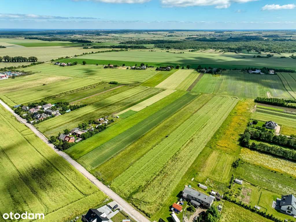 Nieruchomość gruntowa - Starzyński Dwór - Pełny obrazek: 5/20