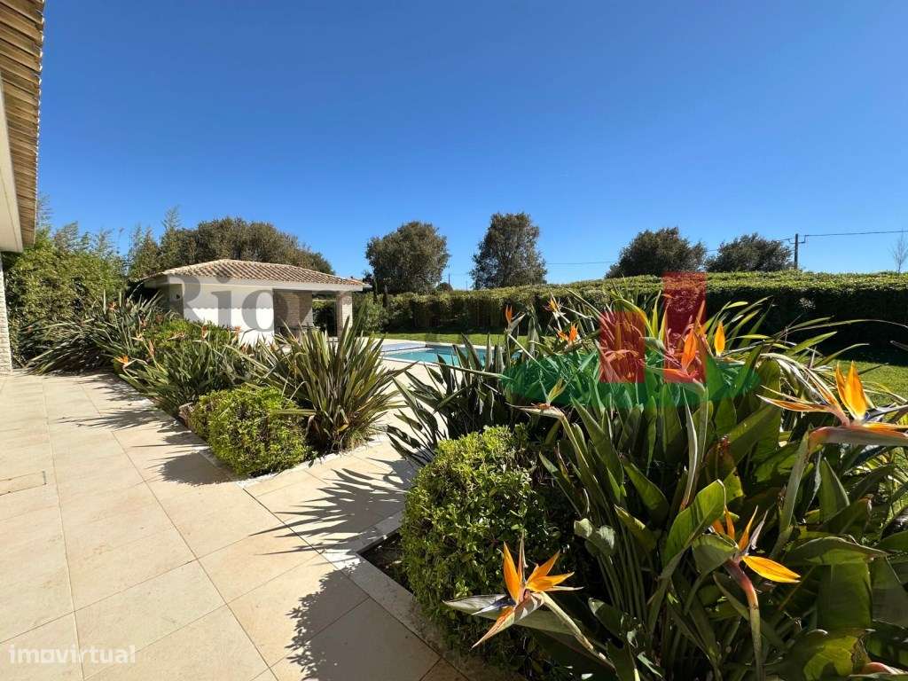 Moradia V3 + 1 com Piscina e Jardim entre Bombarral e Óbidos - Grande imagem: 4/33