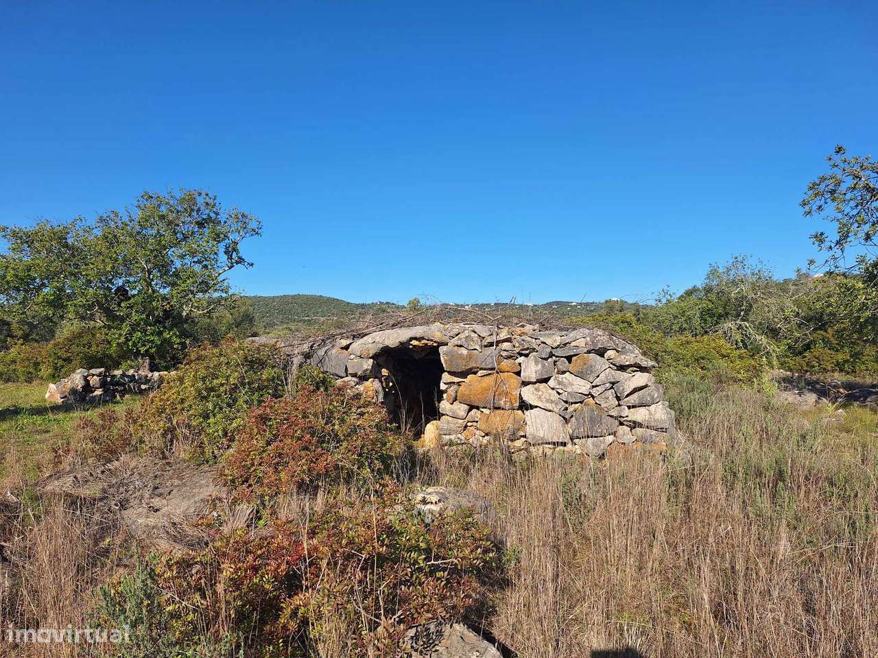 Terreno Rústico no Sítio do Laranjeiro de Santa Catarina da Fonte d...-18