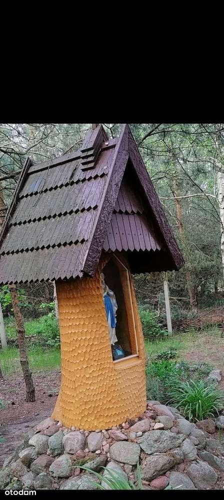 Działka siedliskowo leśna z domkiem-6