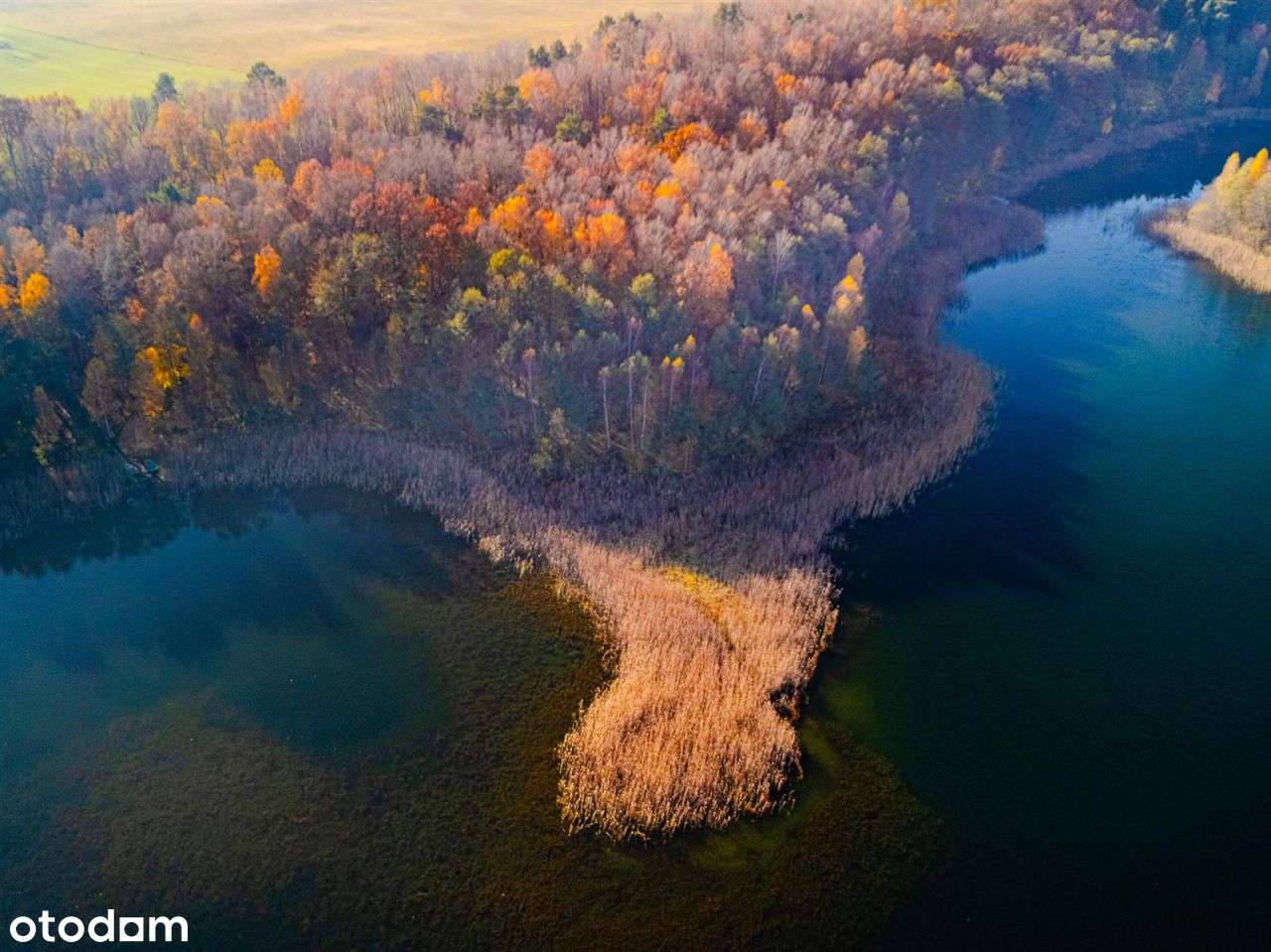 Działka siedliskowa - Krągi-13