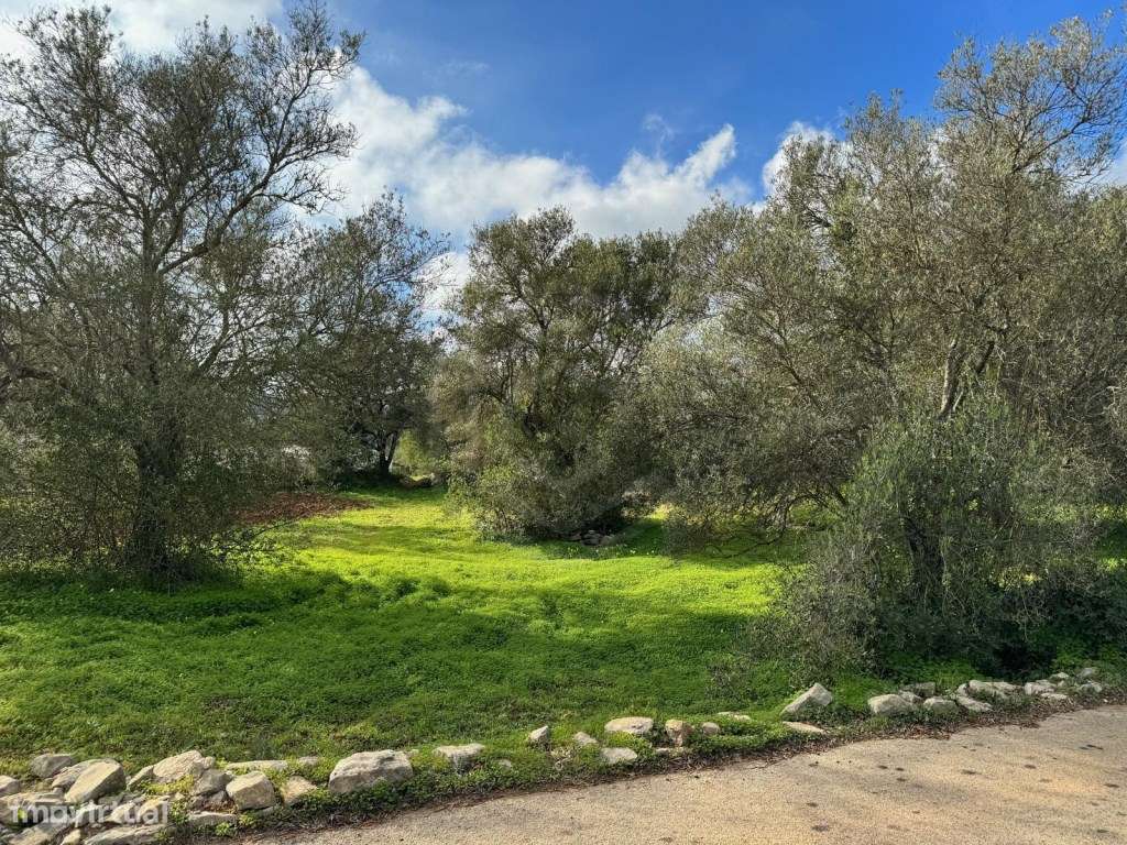 Lote urbano para construção de moradia, São Brás de Alportel, Algarve - Grande imagem: 3/21