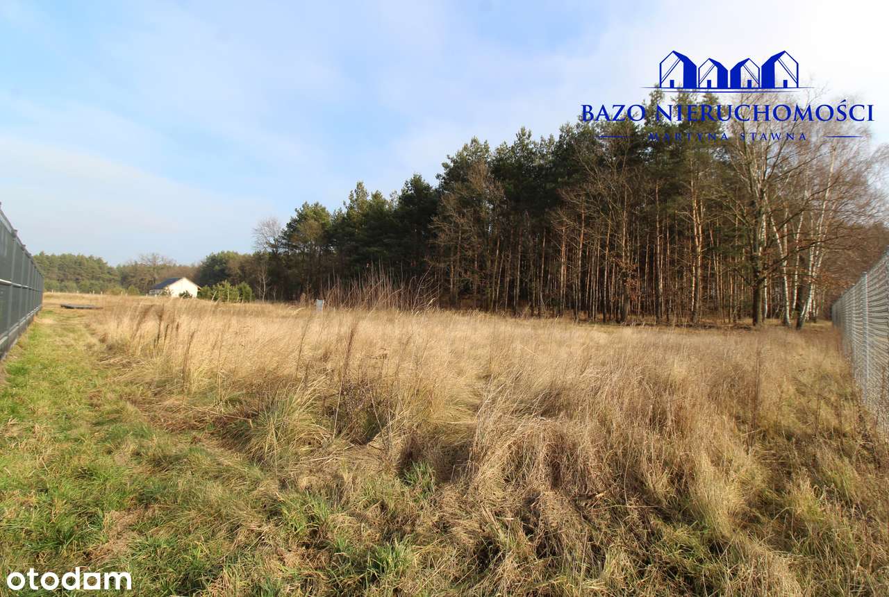 REZERWACJA Piękna działka pod lasem w Starym Luboszu - Pełny obrazek: 5/11