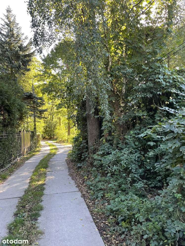 Działka 2700 m² w spokojnej okolicy z mediami - Pełny obrazek: 5/7